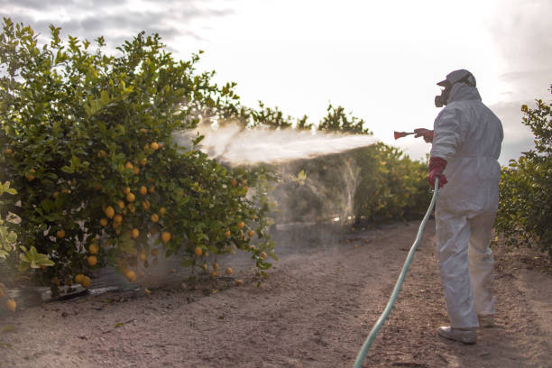Best Pest Control Near Me  in Wakefield, KS