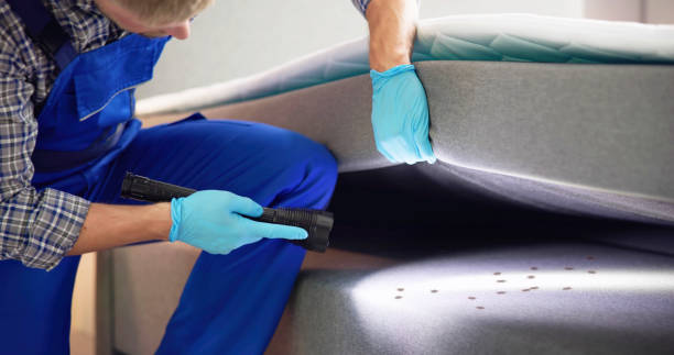 Best Cockroach Control Services  in Wakefield, KS